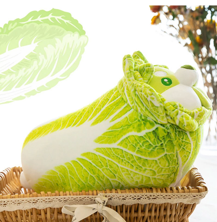 Different Sizes 20-50cm Cute Japanese Vegetable Dog